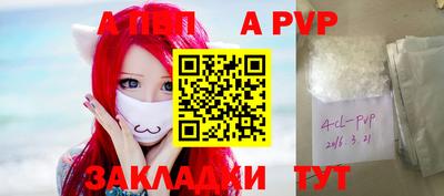 стафф Заводоуковск